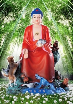 Thế giới A Di Đà Phật là thế giới của tình thương và chân thật
