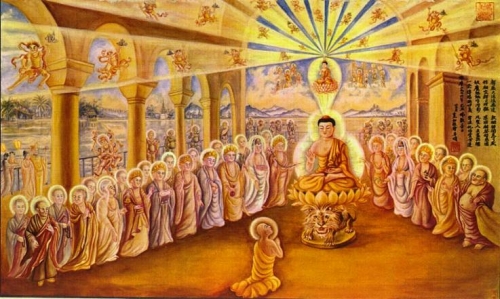 Công đức niệm Phật và công đức phóng sanh, cái nào lớn hơn?