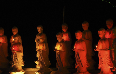 Hào quang Đức Phật - Một thực tại vô hình
