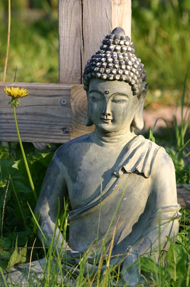 Phật giáo và hòa bình chân thực
