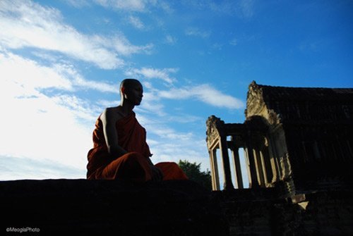 Trí tuệ trong Phật giáo 